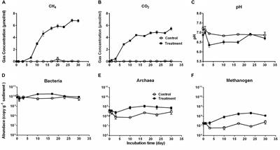 Enhanced Microbial Interactions and Deterministic Successions During Anoxic Decomposition of Microcystis Biomass in Lake Sediment